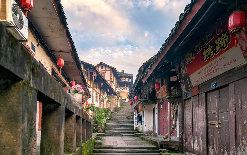 动物帮帮忙保卫家园